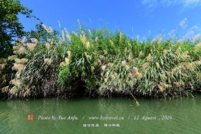 曹妃甸湿地景区