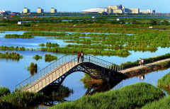 <b>曹妃甸旅游资源及旅游发展概况</b>