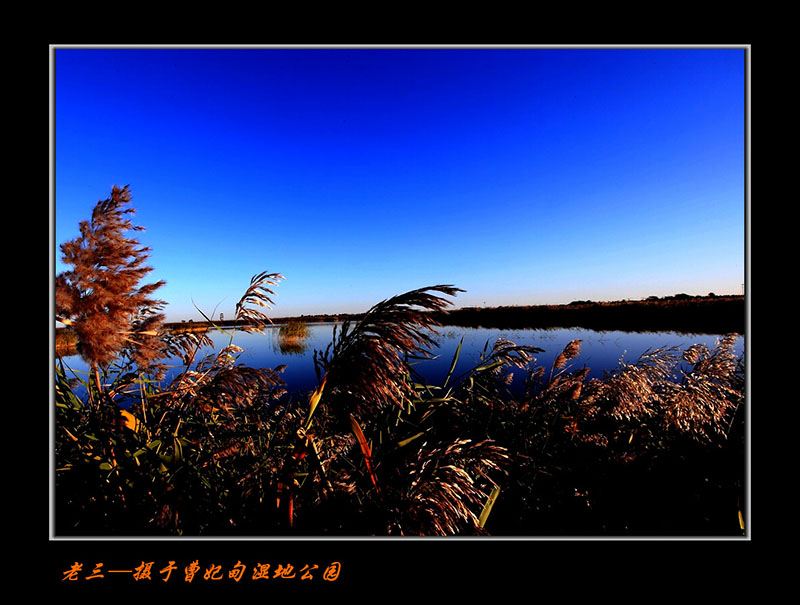 曹妃甸风景图片