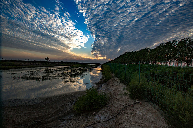 曹妃甸风景图片