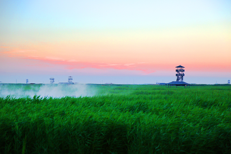 曹妃甸风景图片