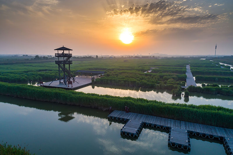 曹妃甸风景图片