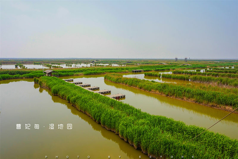 曹妃甸风景图片