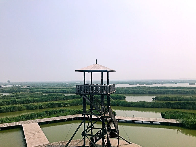 曹妃甸风景图片