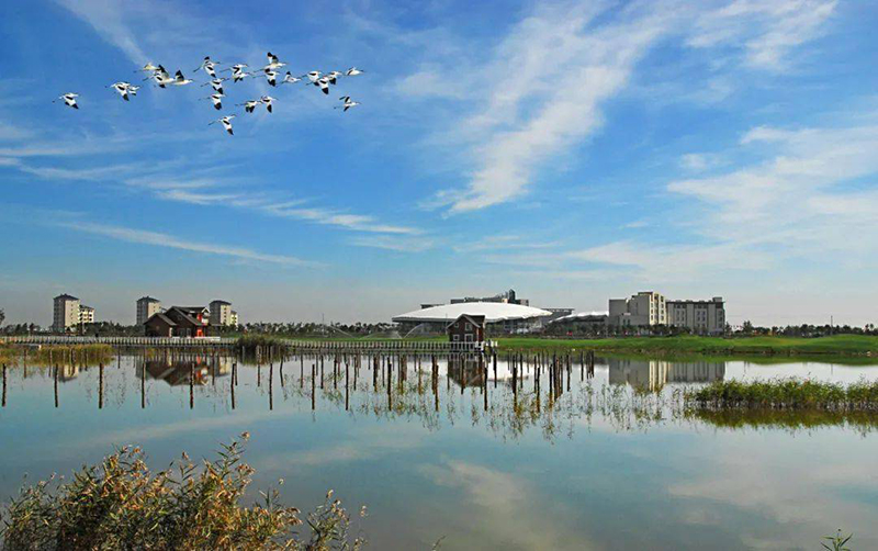 曹妃甸风景图片