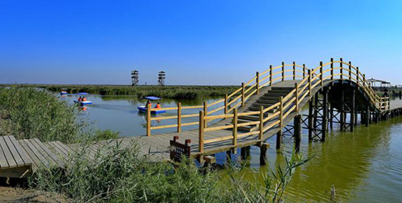 曹妃甸风景图片-曹妃甸湿地风景