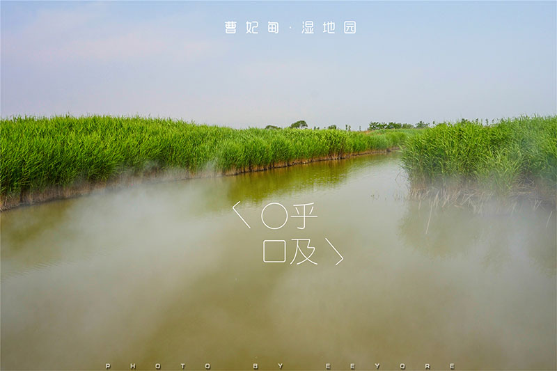 曹妃甸风景图片