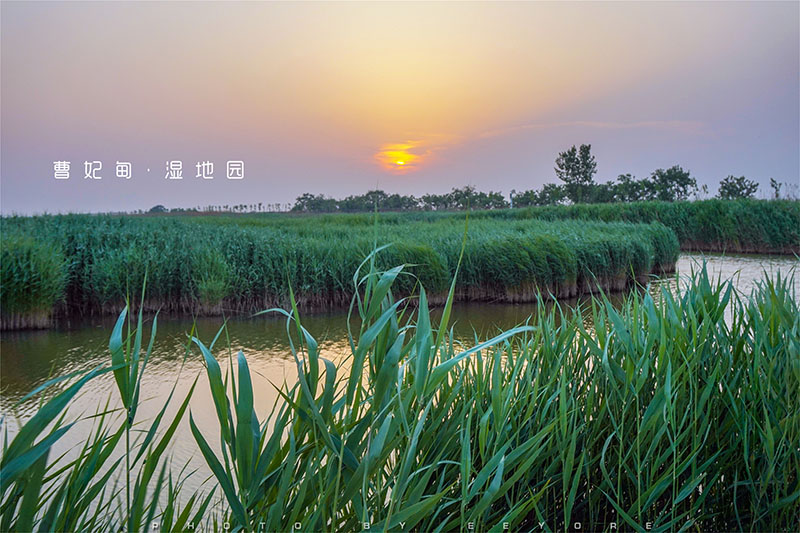 曹妃甸风景图片