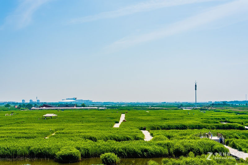 曹妃甸风景图片