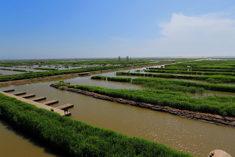 曹妃甸风景图片