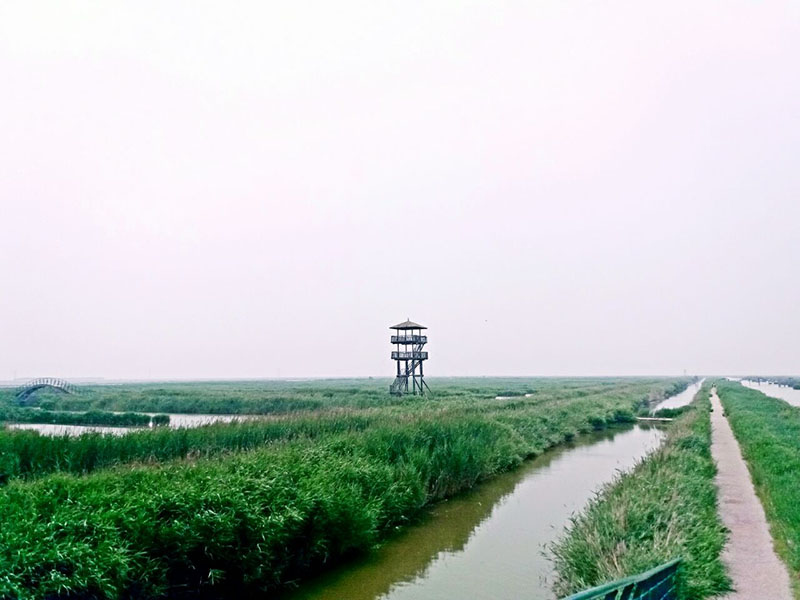 曹妃甸风景图片