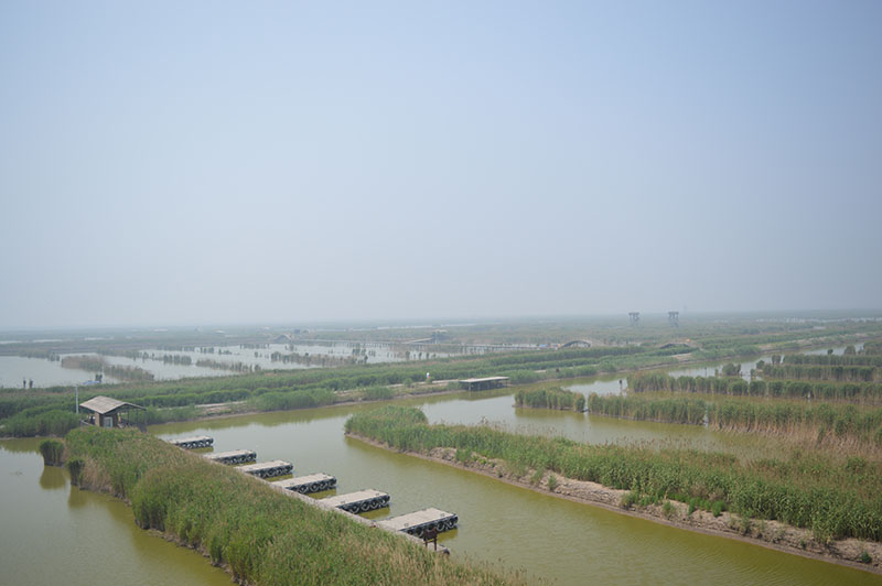 曹妃甸风景图片