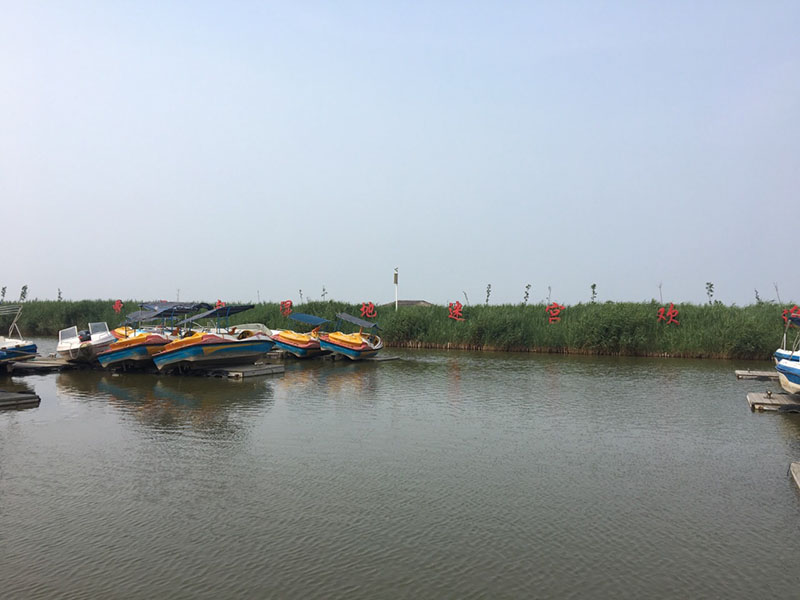 曹妃甸风景图片