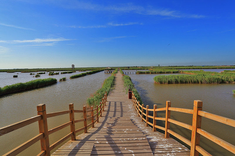 曹妃甸风景图片