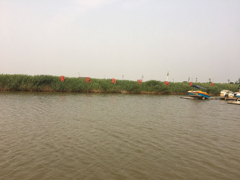 曹妃甸风景图片