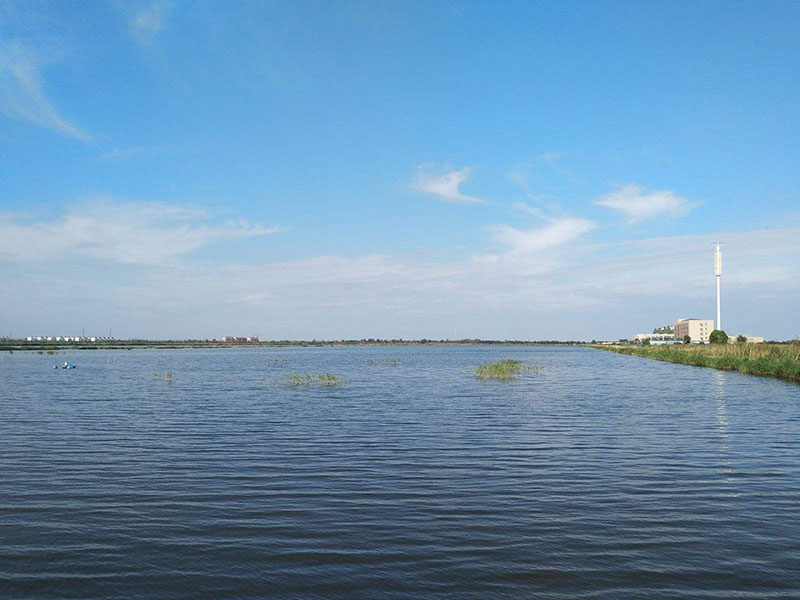 曹妃甸风景图片