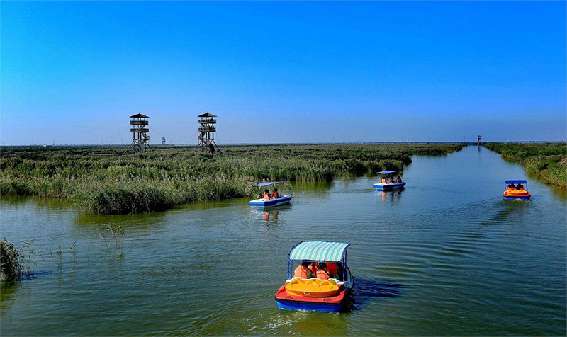 曹妃甸风景图片